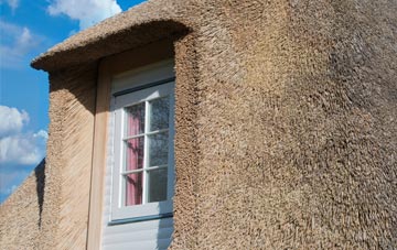 Viscar thatch roof disadvantages